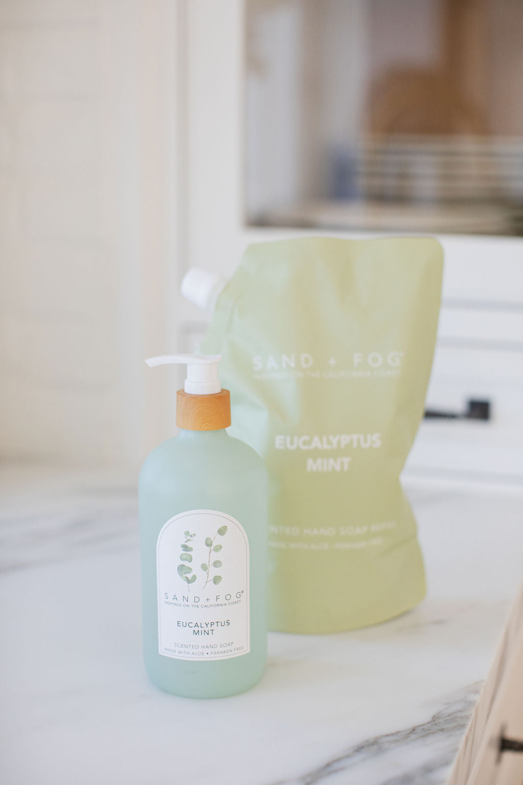 Moisturizing Eucalyptus Mint 34 oz Liquid Hand Soap Refill Bag