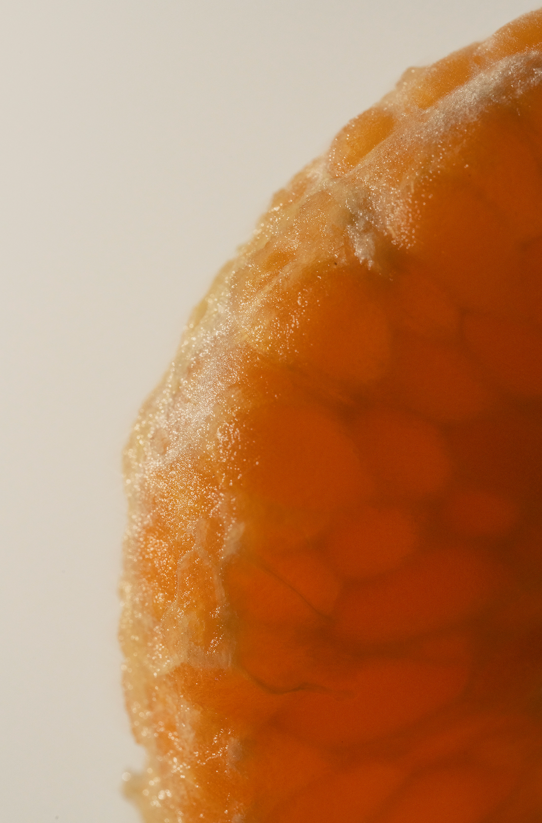 Exquisite Citrus Blossom 70 ml Eau de Toilette