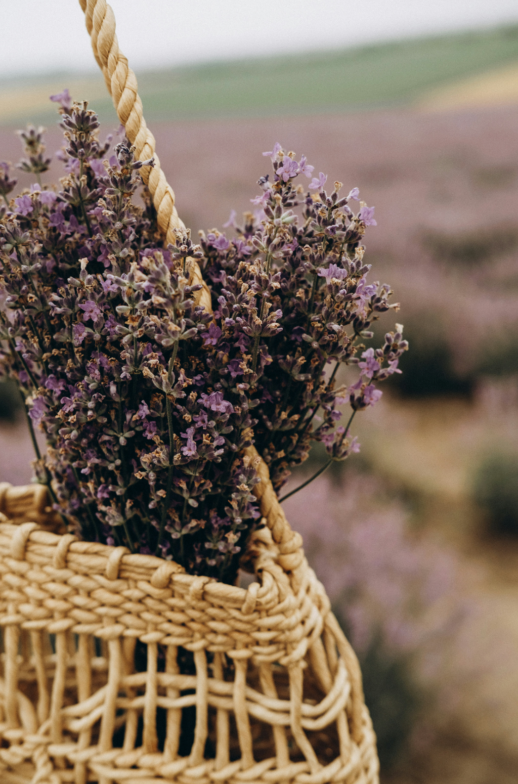 Calming Cedar & Lavender 110 ml Reed Diffuser