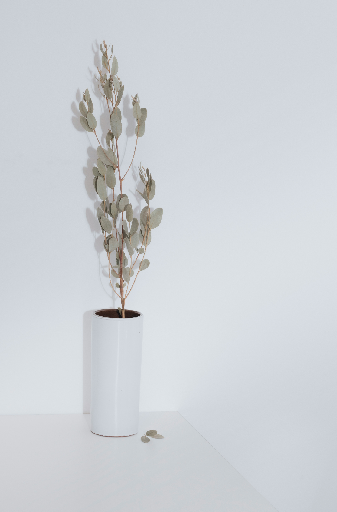 Calming Eucalyptus Spearmint 100 ml Reed Diffuser