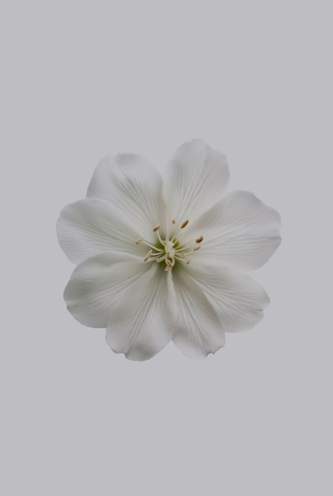 Calming Fresh Jasmine 180 ml Reed Diffuser